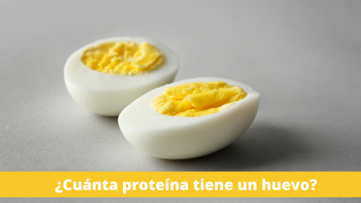 proteina tiene un huevo proteina tiene un huevo