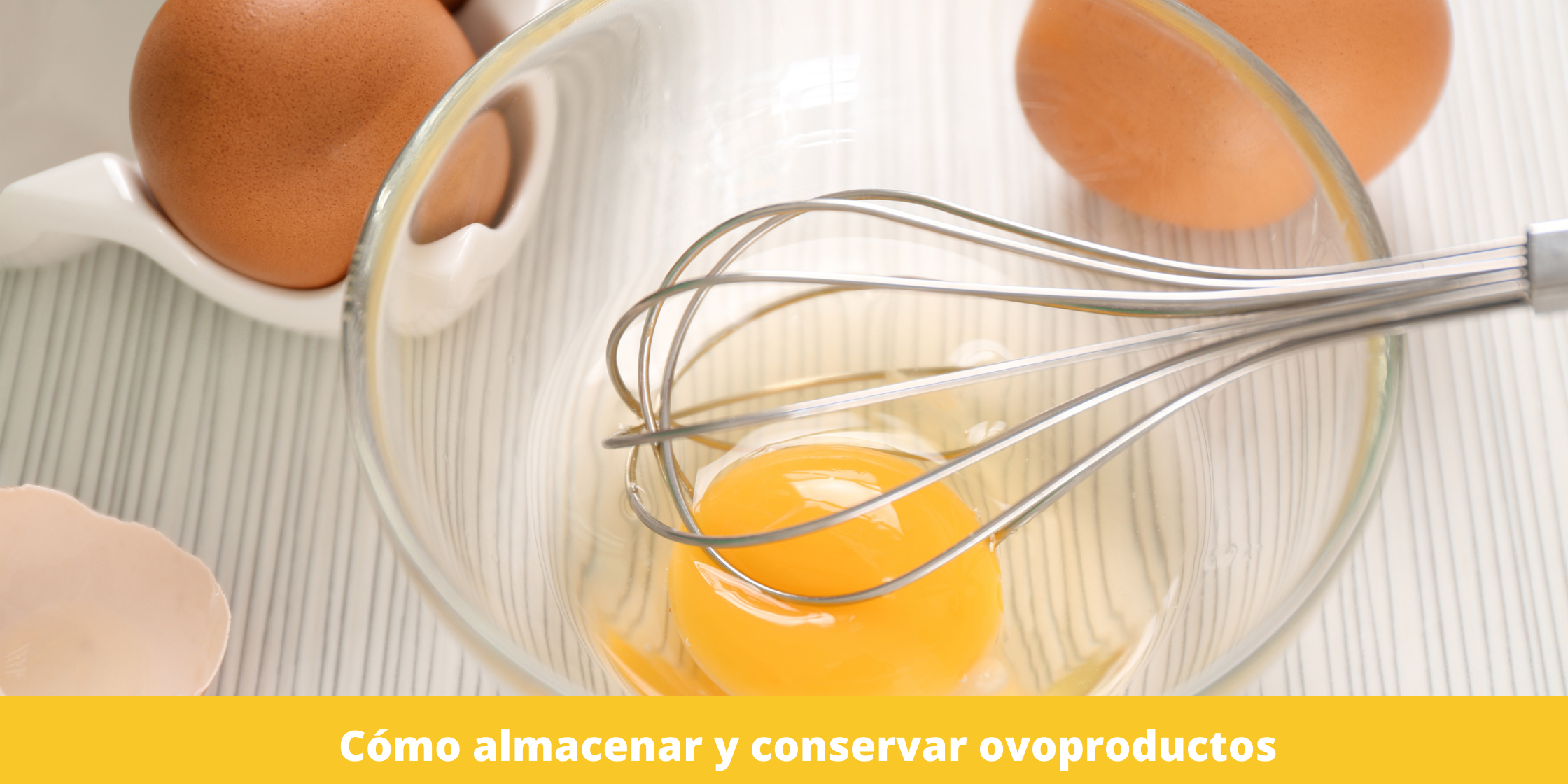 almacenar-y-conservar-ovoproductos almacenar-y-conservar-ovoproductos